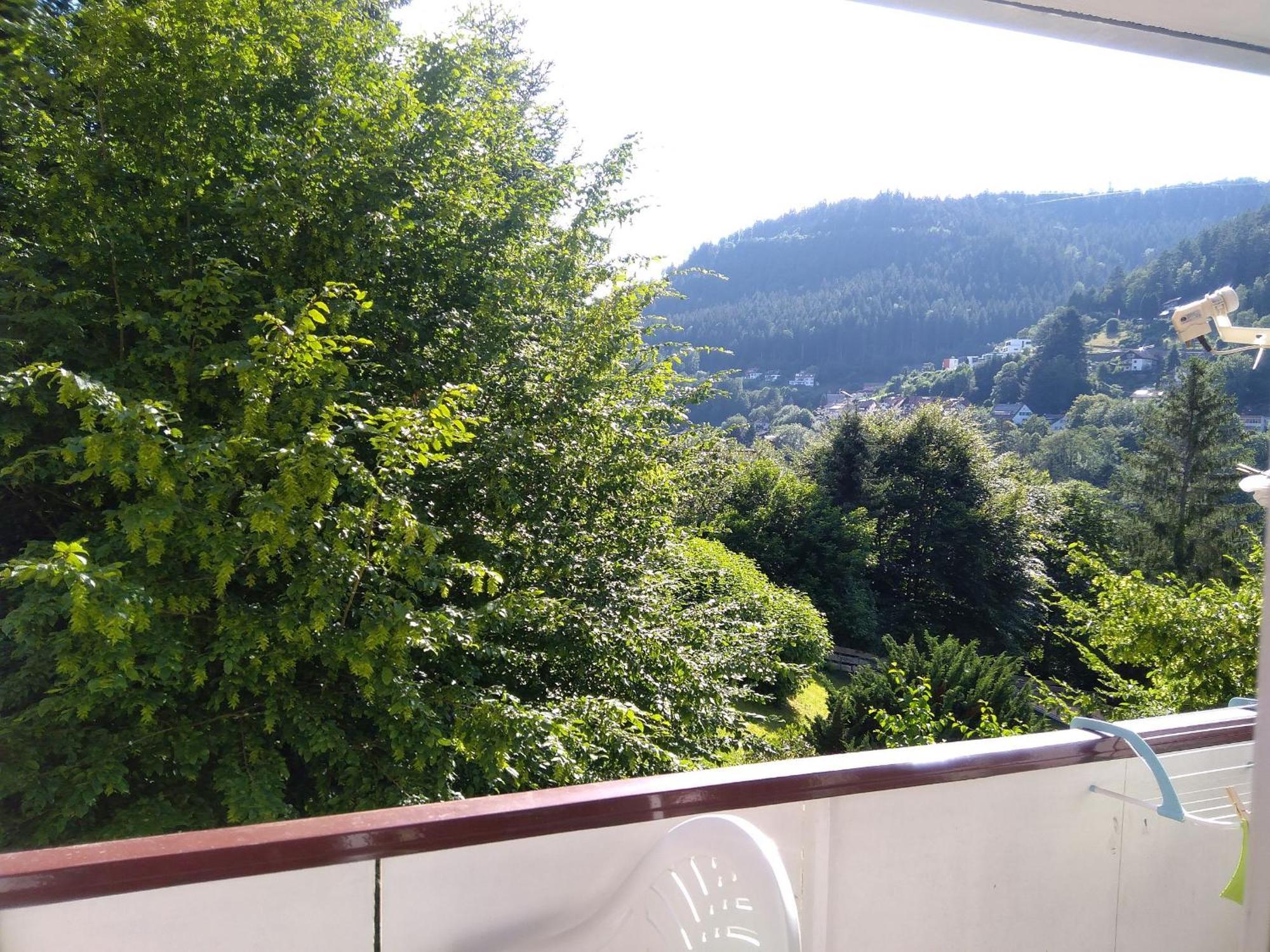 באד ווילבאד Ferienwohnung Tannenwald מראה חיצוני תמונה